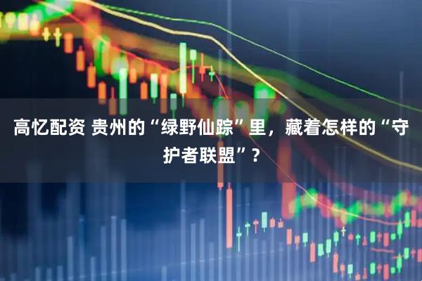高忆配资 贵州的“绿野仙踪”里，藏着怎样的“守护者联盟”？