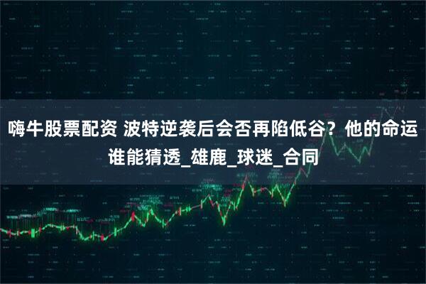 嗨牛股票配资 波特逆袭后会否再陷低谷？他的命运谁能猜透_雄鹿_球迷_合同